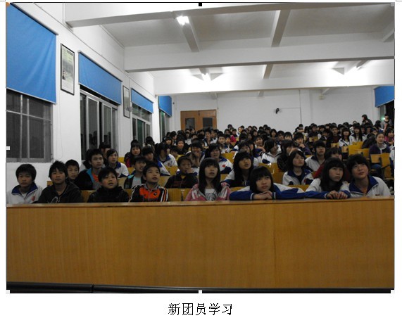 共青团黎埠中学团委2010年上半年工作总结