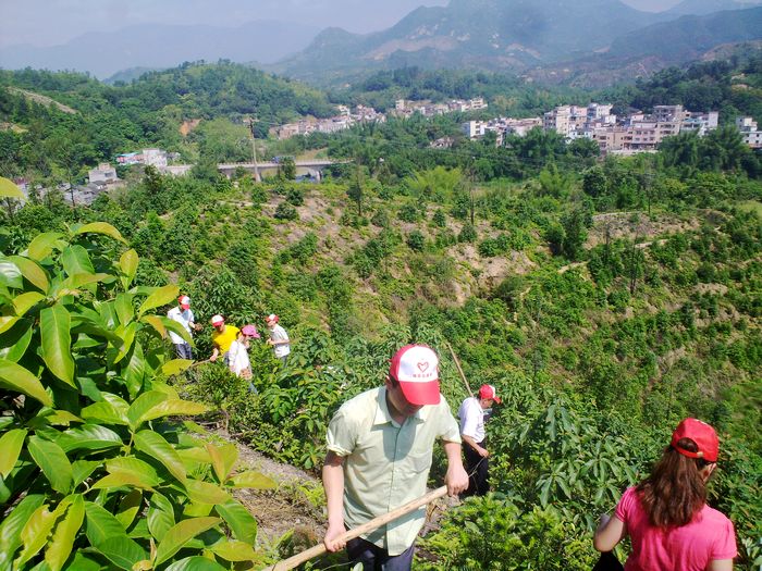 "绿动青春61绿满揭西"——揭西县青年共建"共青团林"植绿护绿活动图片