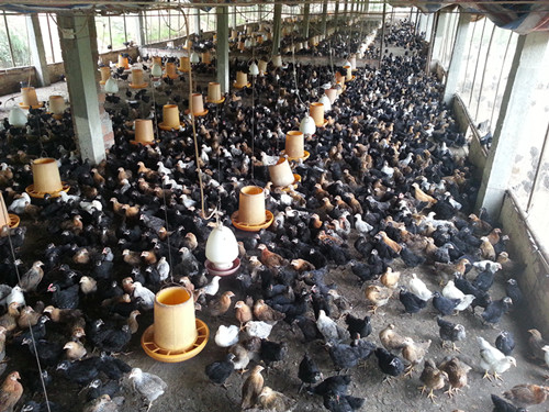 四会发放农村青年创业贴息贷款78万元