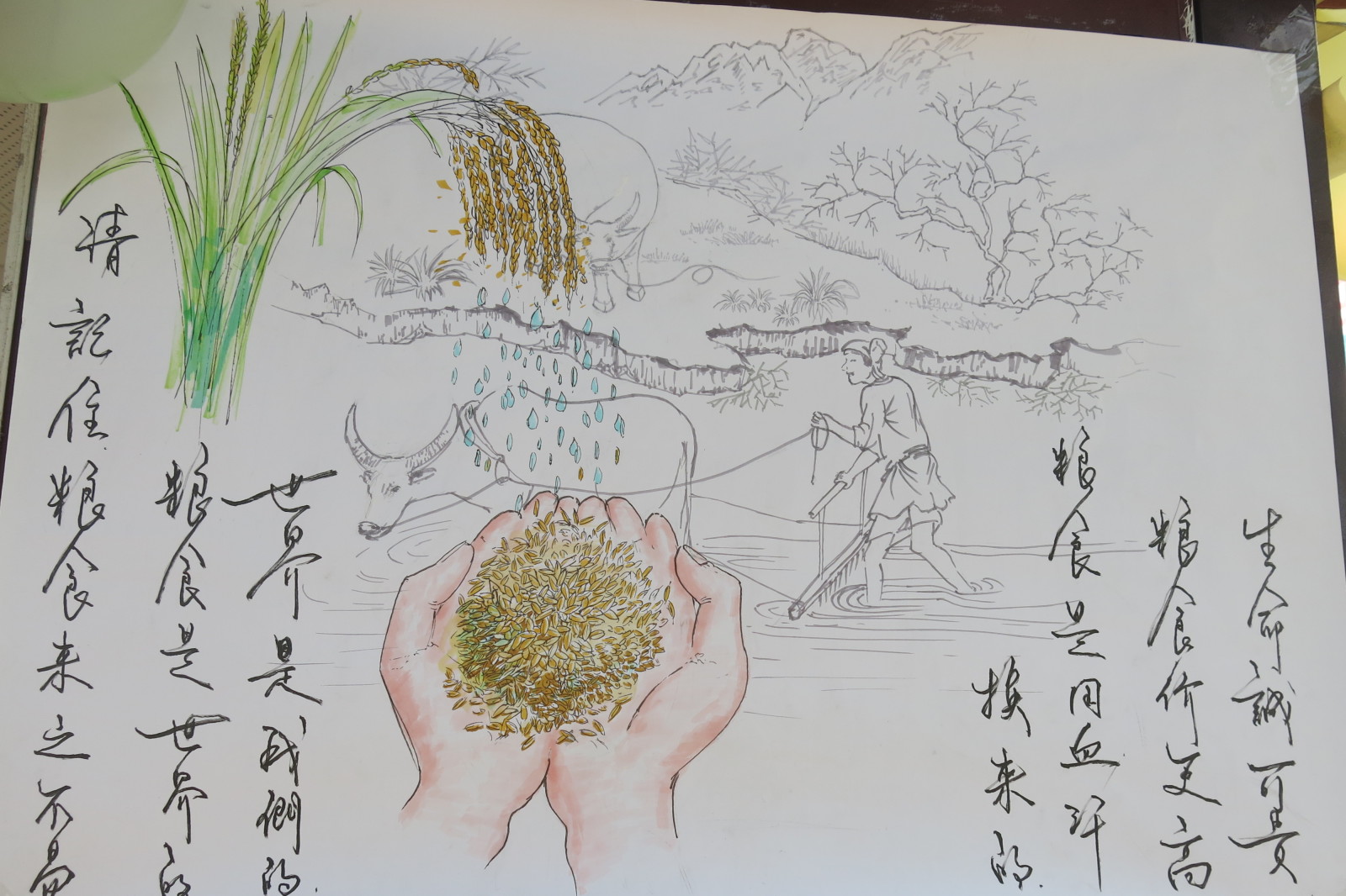 节约用粮食儿童画