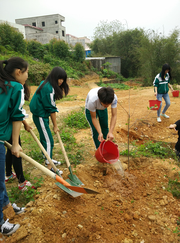 化州九中高一级学生前往石湾博带水闸河边一带植树