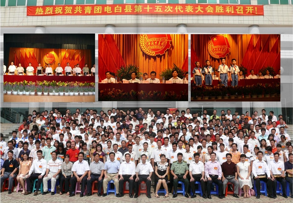 共青团电白县第十五次代表大会胜利召开