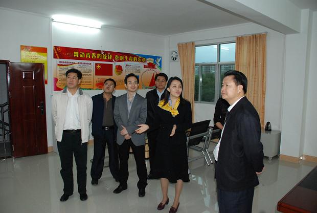 乡镇团委书记个人工作总结汇报材料